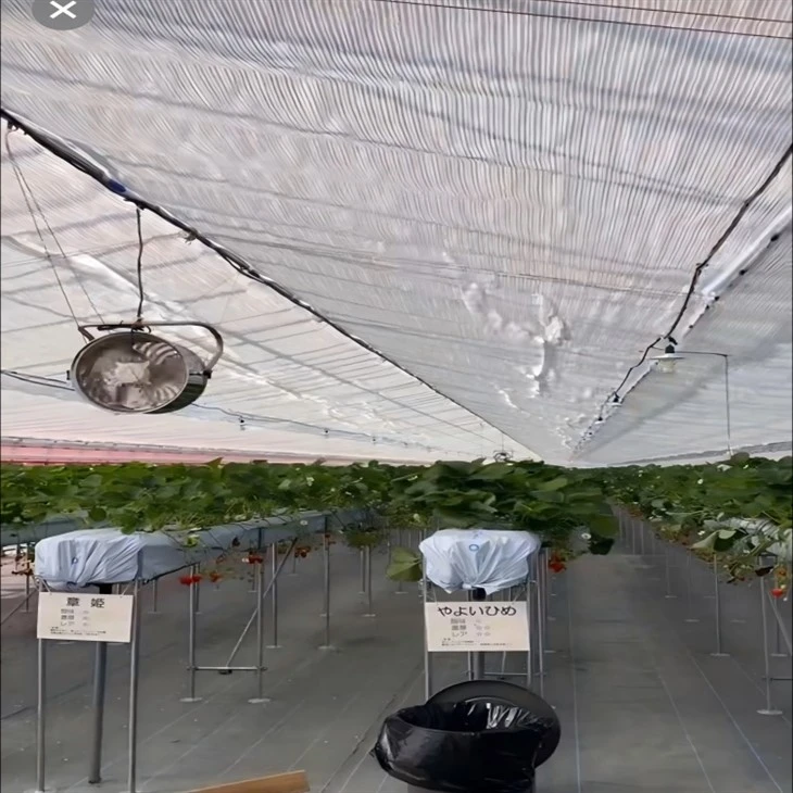 info-1-1 Greenhouse Shade Structure suppliers